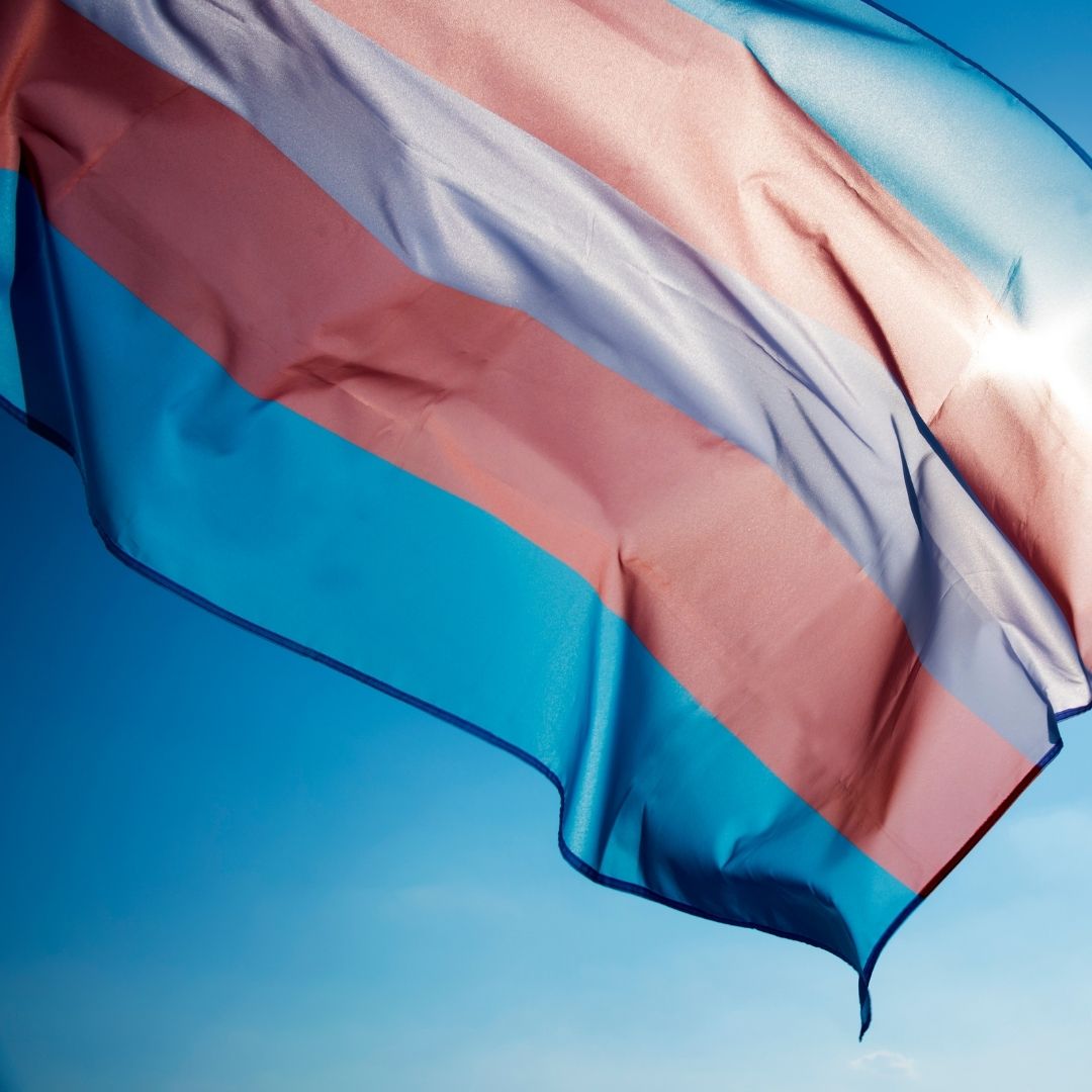 Transgender Flag